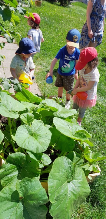 Les enfants jardinent